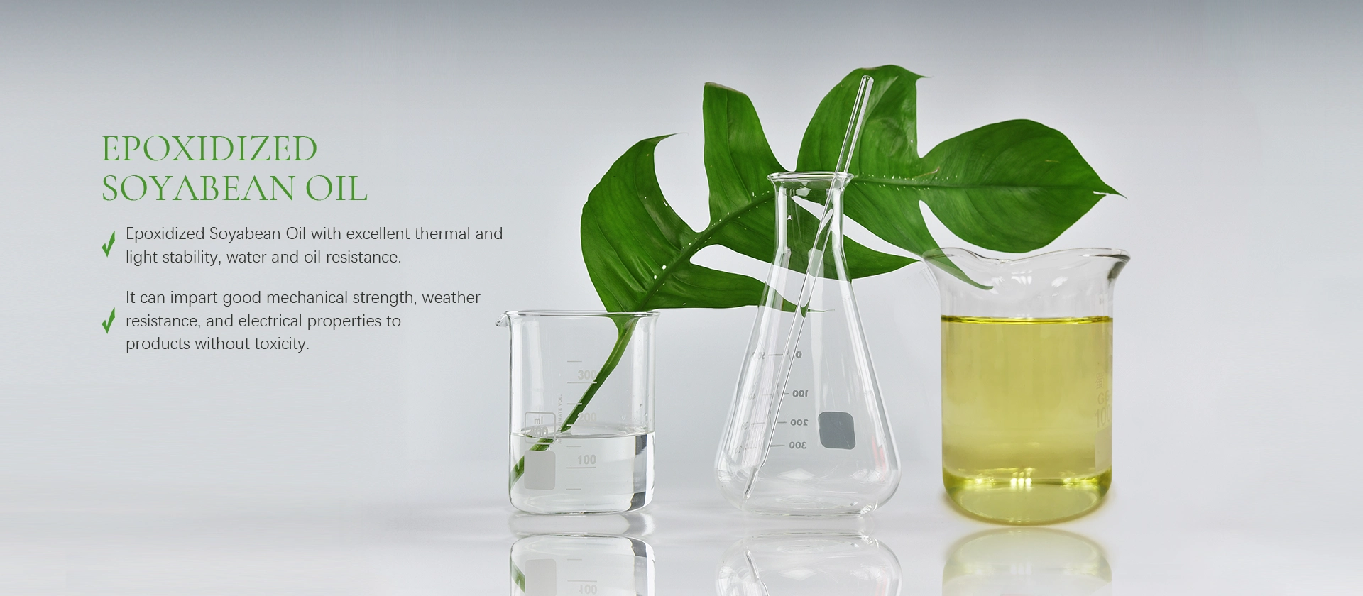 Epoxidized oleum Soyabean Factory